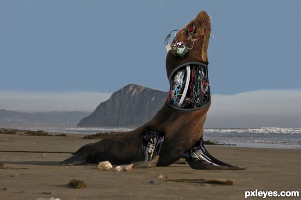 Robotic Sea Lion